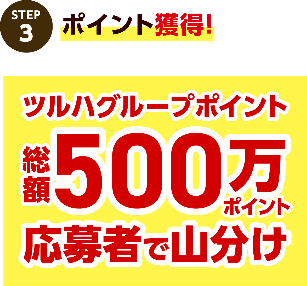 STEP3 ポイント獲得!ツルハグループポイント総額500万ポイント 応募者で山分け